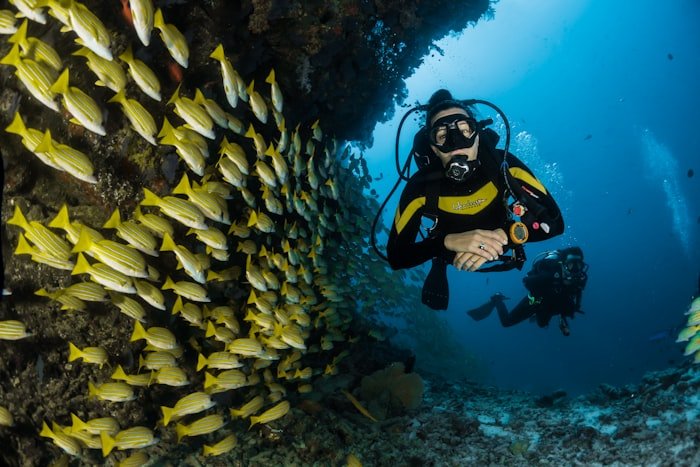 3 Nights 4 Days Budget Andaman Package